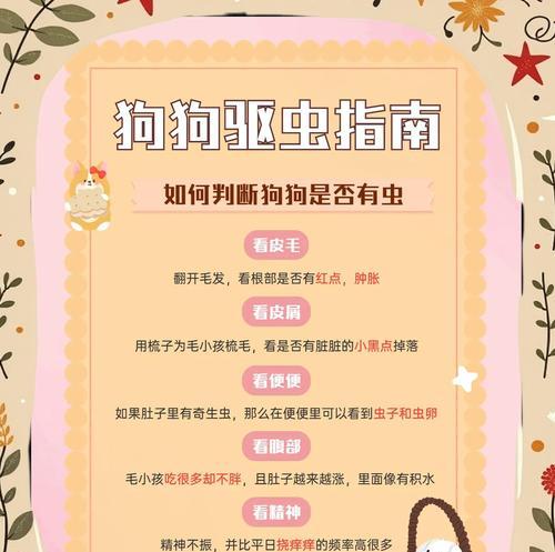 狗狗驱虫药的正确用法与注意事项（保护宠物健康，让狗狗远离寄生虫）