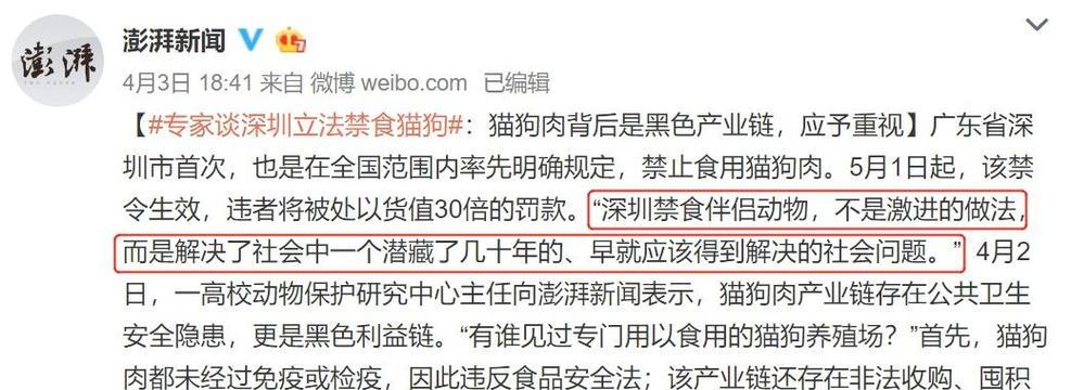 猫拔牙后禁食多久合适？（科学指导下，掌握合理的喂食时间）