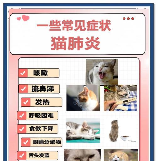 探究猫咪肺炎的致死时间（揭示猫咪肺炎的预后和生存率，）