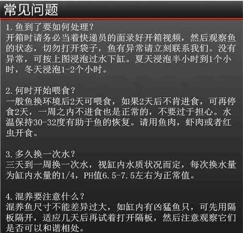 养鱼爱好者的挑战（探索养殖技巧、细心呵护与时间积累）