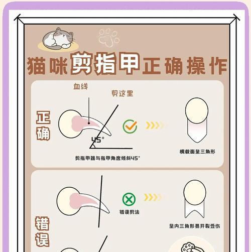 手指甲剪几次合适？（探讨手指甲剪几次的最佳频率及注意事项）