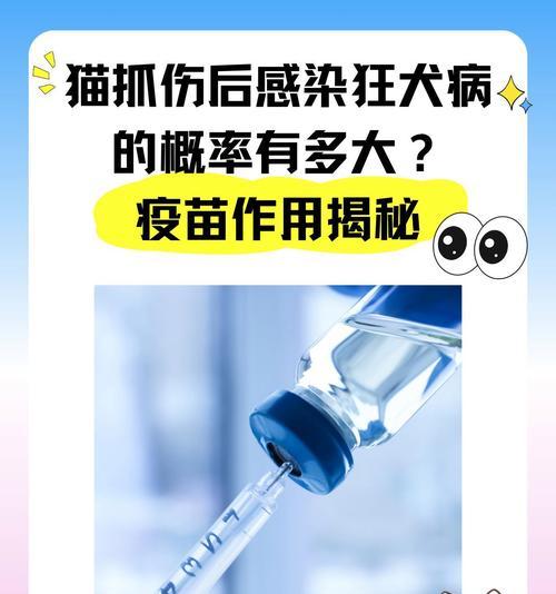 猫的狂犬病发病期长短的影响因素（狂犬病发病期的关键因素及预防措施）