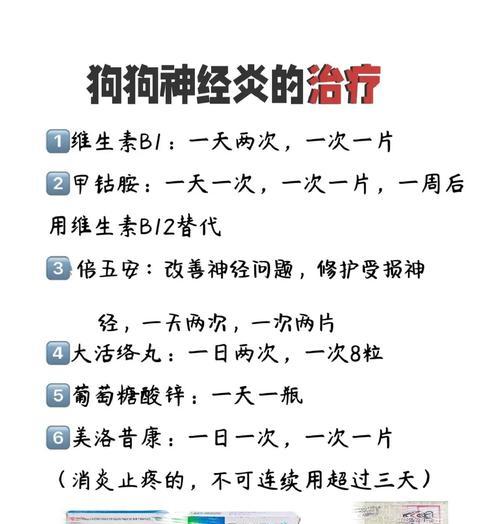 狗狗脑炎的症状与治疗方法（了解狗狗脑炎的主要症状和有效的治疗方法）