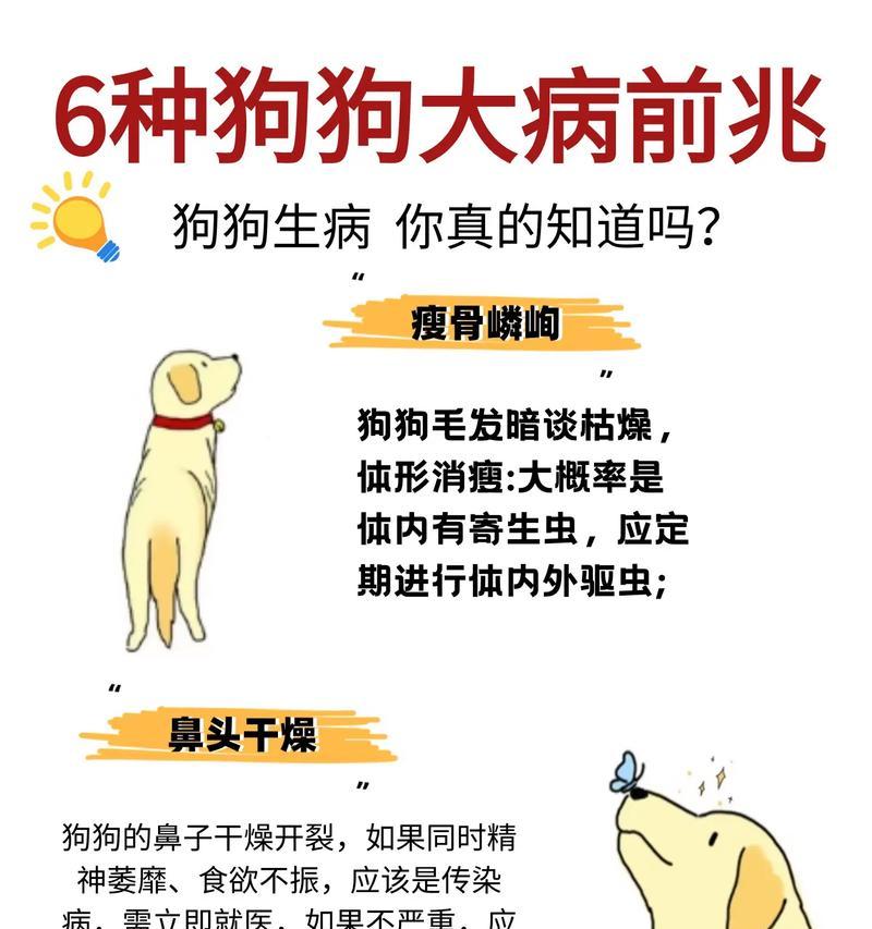 狗狗拉肚子的原因及应对方法（探索狗狗拉肚子的各种原因和如何处理它们）