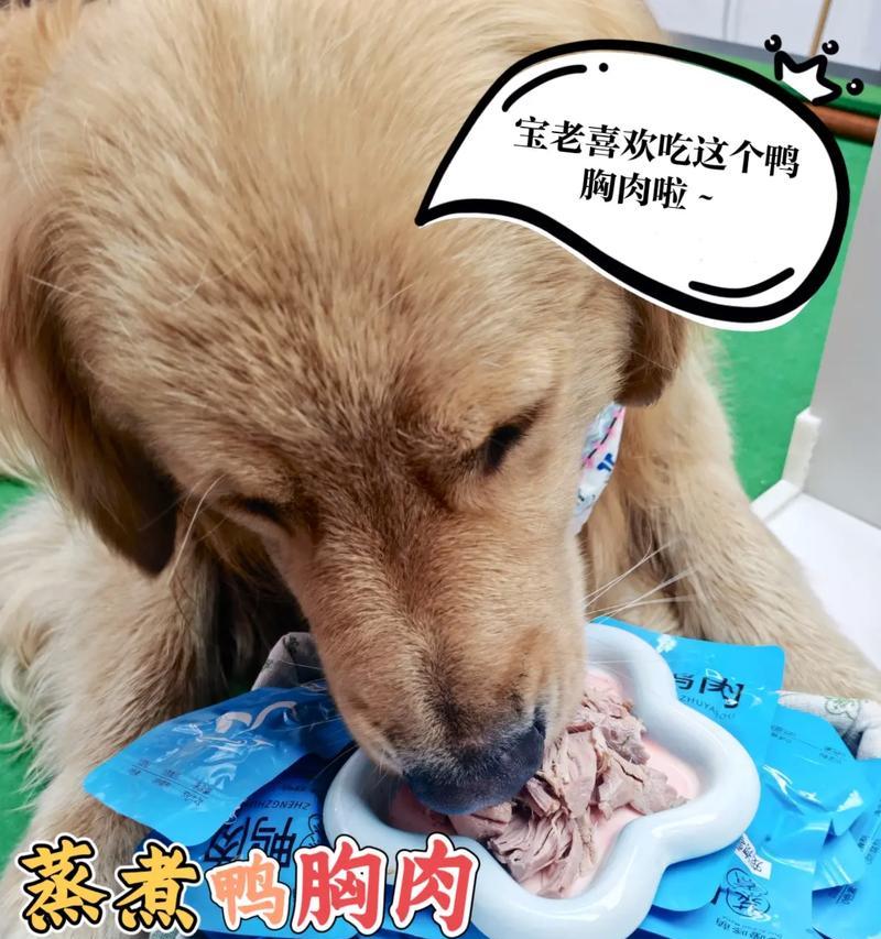 狗狗的健康饮食（为你的爱宠提供营养丰富的肉食，让它健康快乐成长！）