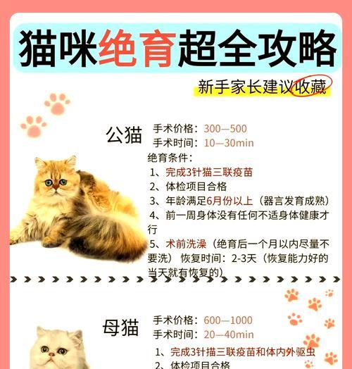 母猫绝育后纱布拆除时间及注意事项（合适的拆除时间和细心护理，确保母猫康复）