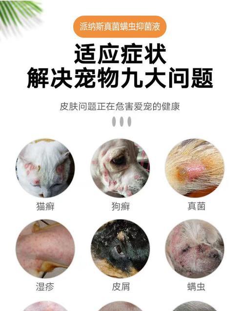 宠物狗皮肤病（了解狗狗的皮肤问题，让它健康快乐生活）
