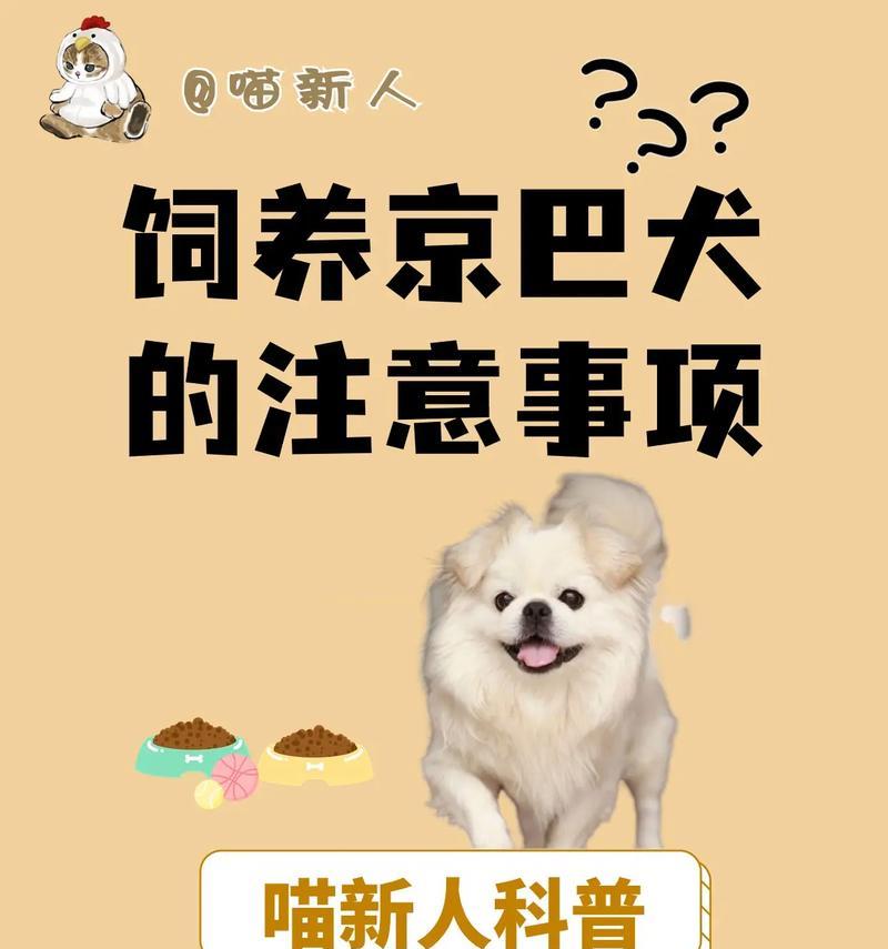 探究以京巴的杂交狗能活多久（京巴杂交狗的寿命与遗传因素有关）
