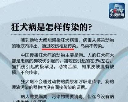 被咬后打针的时间（预防狂犬病的重要措施）