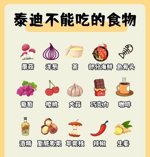 如何正确喂养泰迪犬（针对喂食过量的情况，应该如何处理？）