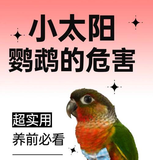 鹦鹉的脾气揭秘（探究鹦鹉的性格特点及对人类的影响）