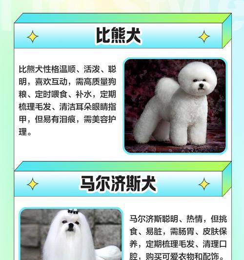 纽芬兰犬的价格及饲养指南（探究纽芬兰犬的市场价格和正确饲养方法）