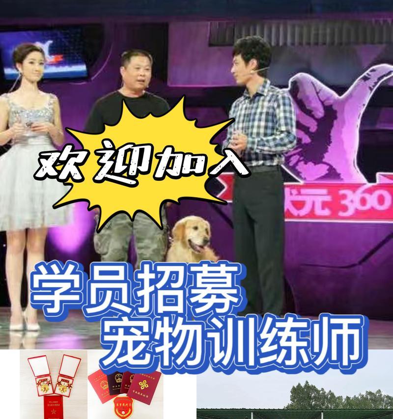 培训宠物培训师的学校选择关键指南（探索最佳培训师学校，助你成为宠物培训专家）