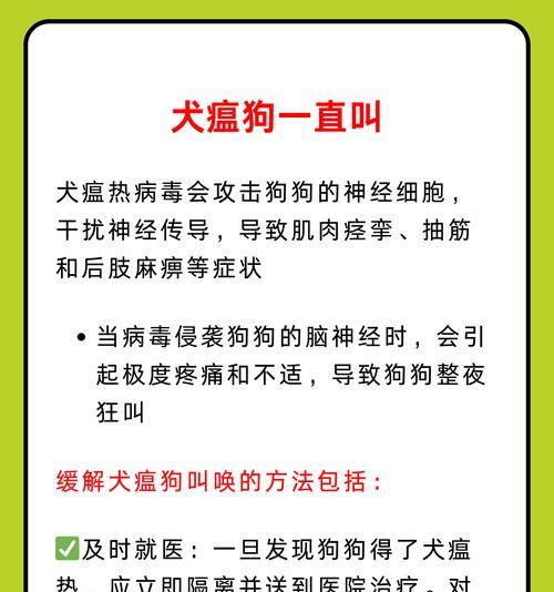 犬瘟发病后的生存期有多久？（探究犬瘟病毒对狗狗的致命影响及预防措施）