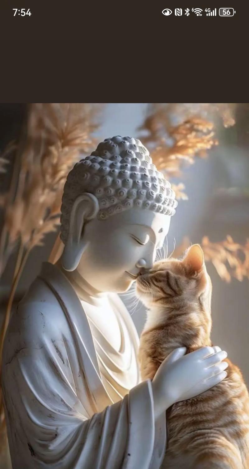 拥有灵性的猫咪（与其一起生活，无忧无虑的伙伴）