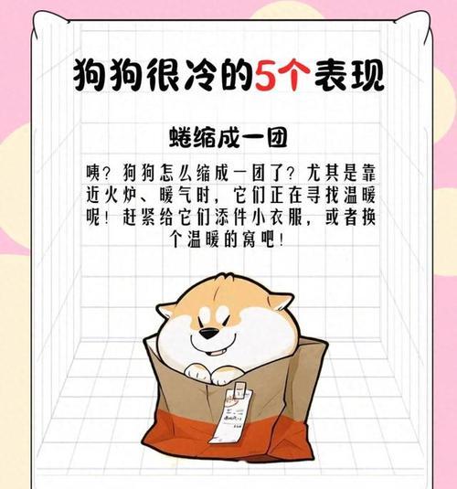揭秘狗狗无精打采抖个不停的低温症之谜（狗狗为什么会出现无精打采抖个不停的症状？低温症解析）