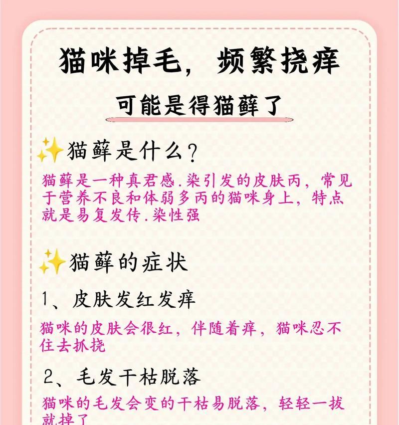 揭秘猫咪掉毛的主要原因（探索猫咪掉毛背后的奥秘，为您解答困扰已久的问题）