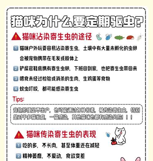 吃打虫药多久排出来了？（解析打虫药在人体内的代谢和排出过程）