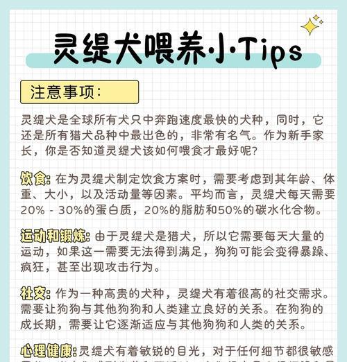 格力犬训练指南（培养格力幼犬良好卫生习惯的方法和建议）