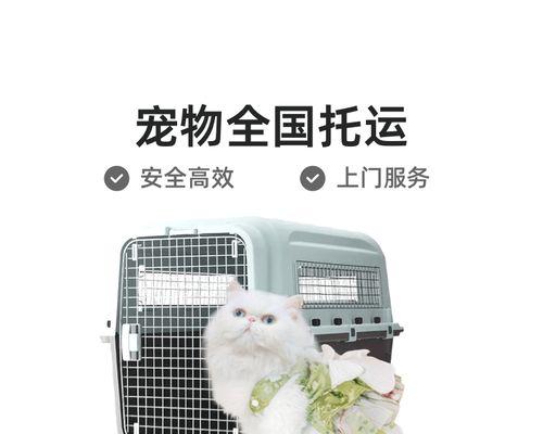 宠物空运（宠物空运多久能到？航空运输让你的宠物在最短时间内抵达目的地）