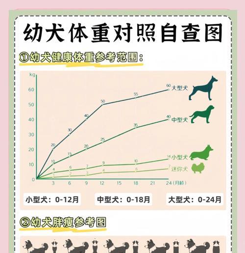 科学喂养你的狗狗——每顿饭量与每天建议喂食量（了解合理的狗狗饮食需求，呵护它们的健康成长）