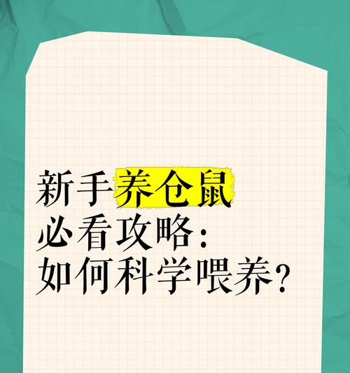 如何养仓鼠？从零开始的新手必读指南（掌握仓鼠的基础知识，让你成为合格的鼠爸鼠妈）