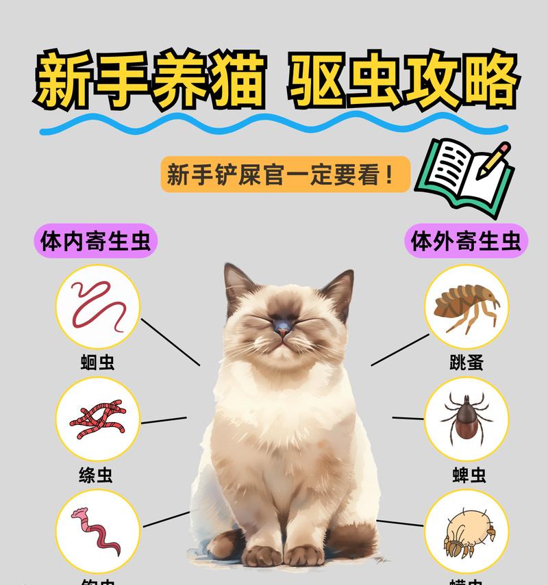 驱虫后多久可以洗澡？（了解宠物驱虫洗澡的最佳时间）