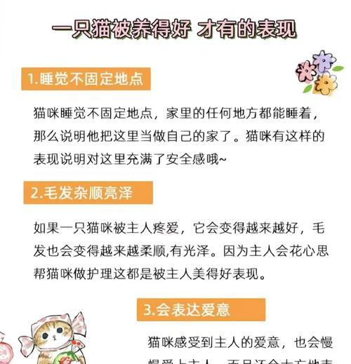 被猫抓伤后多久会发作？（猫爪伤口的愈合与感染时间的关系）