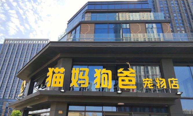 长春宠物店狗狗销售盛行（探索长春市不可错过的宠物店狗狗销售场所）