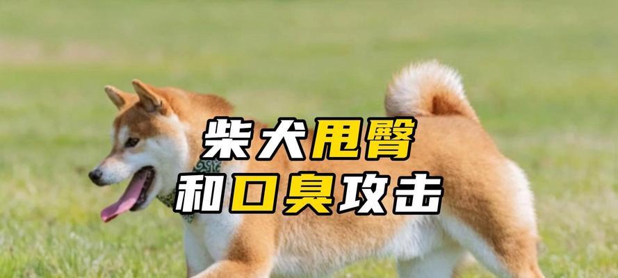 无臭狗种——解放你的鼻子（拥抱清新生活的秘诀）