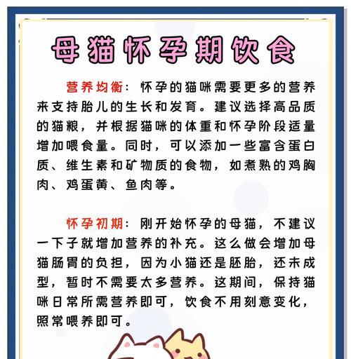 母猫喂养小猫的时间安排（了解母猫喂奶的重要性及时间间隔）