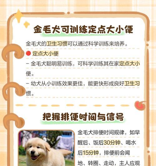 控制大型狗的爆冲能力（解决大型狗拉不住的问题，让你和宠物更安全）