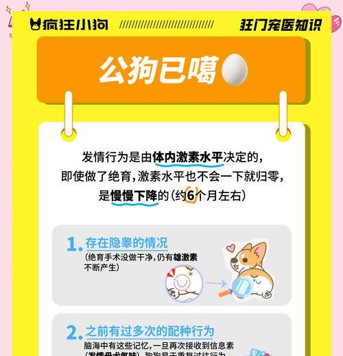 狗狗绝育（了解狗狗绝育手术的恢复时间、注意事项和护理要点）
