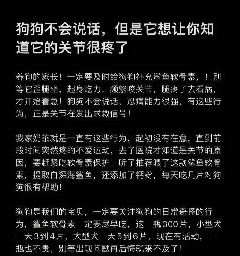 小狗多久会不叫？（探索小狗安静时的时间和原因。）