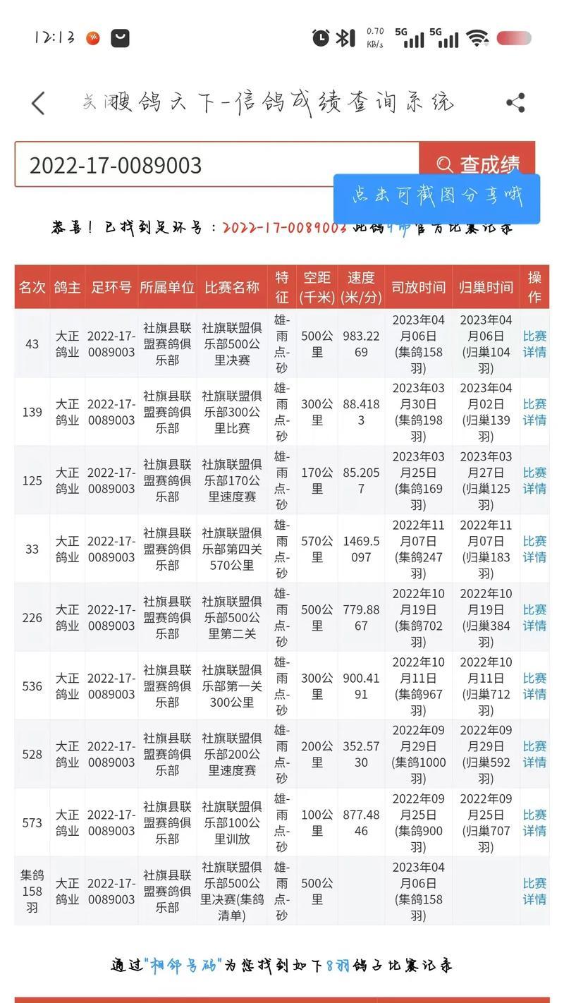 鸽子养殖技术指南（从选种到繁育，助你成功养殖鸽子）