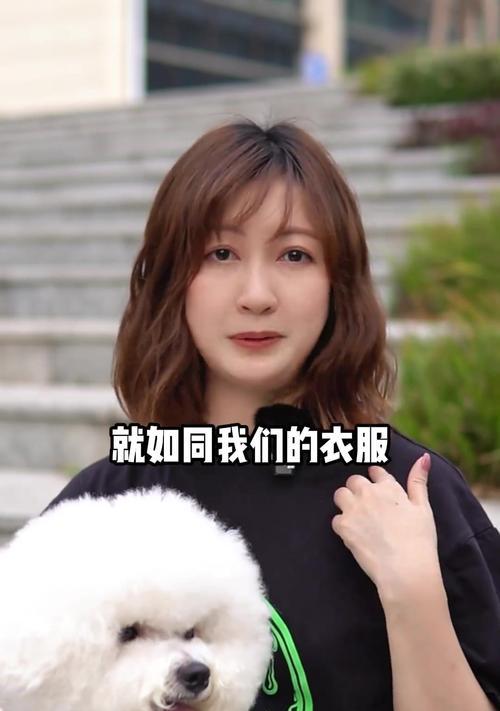 比熊毛发修剪的频率及注意事项（探寻比熊剪毛的最佳时间和技巧）