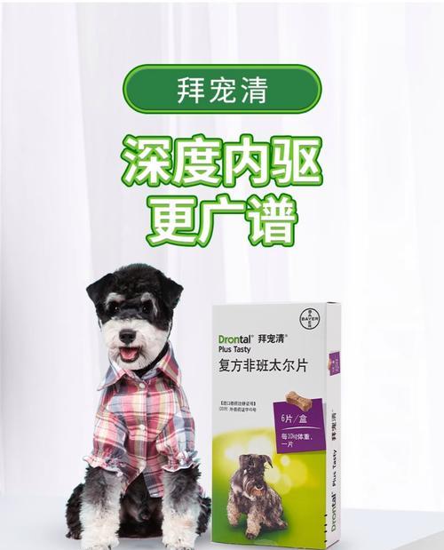 小狗驱虫的重要性与适宜周期（为了宠物健康，定期驱虫是必要的）
