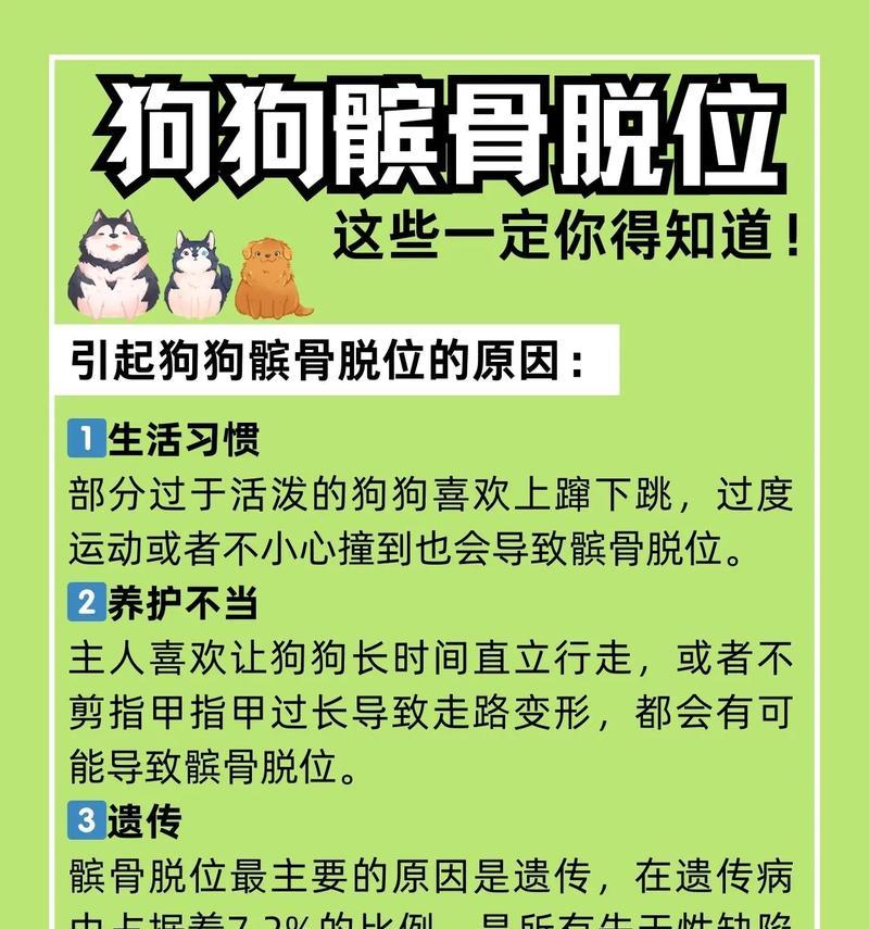 狗狗髌骨脱位及治疗与预防（了解狗狗髌骨脱位的原因、治疗方法和预防措施）