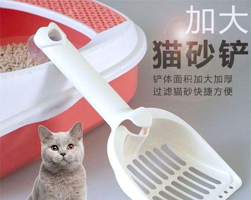 如何正确清理猫咪的猫砂（科学清理，让猫咪更健康）