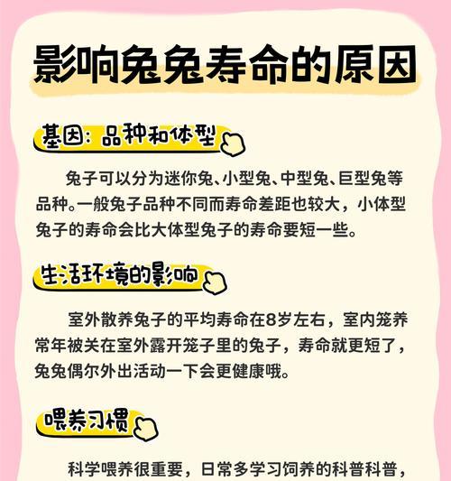 兔子不吃不喝能活多久吗？（揭秘兔子生存奇迹的秘密）