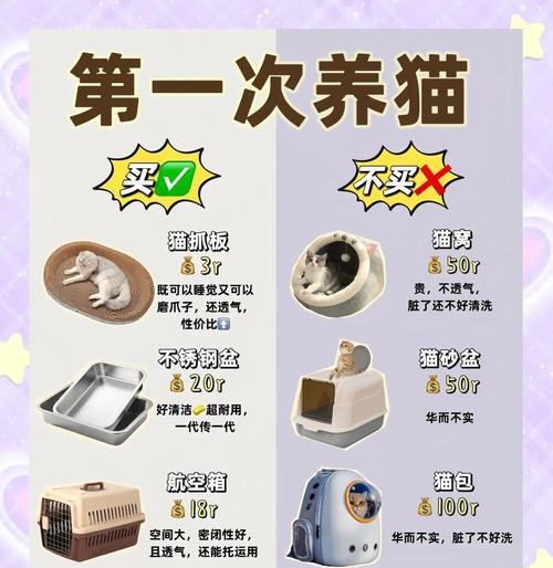 喂食奶猫的频率及注意事项（了解奶猫喂食频率，守护它们的健康）