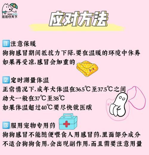 狗狗发烧的症状及应对方法（了解狗狗发烧的迹象与治疗）