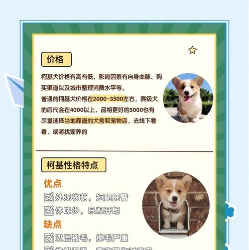 养一只柯基的月度开销及所需消耗品（柯基养育费用，养宠物必备品清单）
