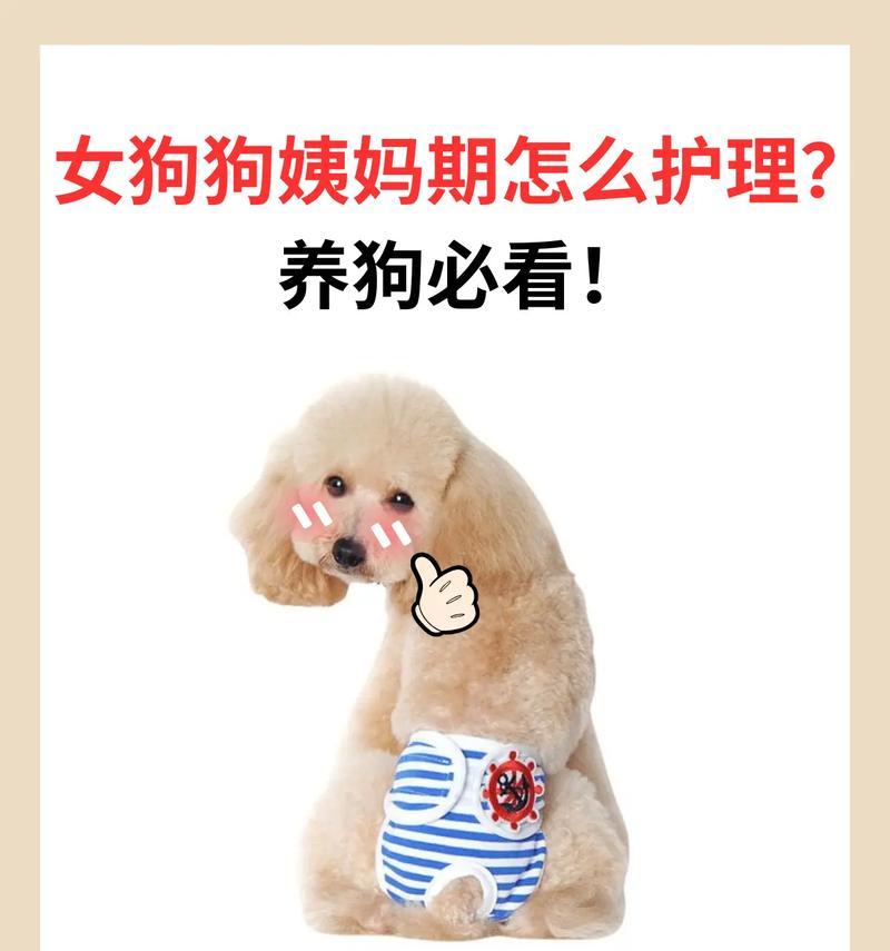 如何妥善处理狗狗的生理期（生理期护理技巧及注意事项）