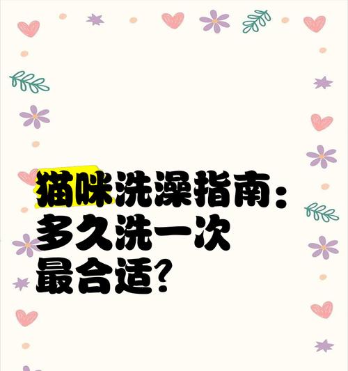 猫咪冬天洗澡的最佳频率（了解猫咪冬天洗澡的最佳时间和方法，让它们保持健康）