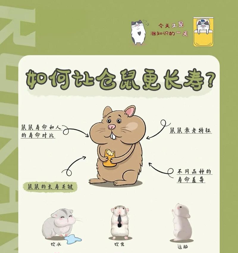 仓鼠肿瘤的预期寿命有多长？（探索仓鼠肿瘤对生存期的影响以及延长寿命的方法）