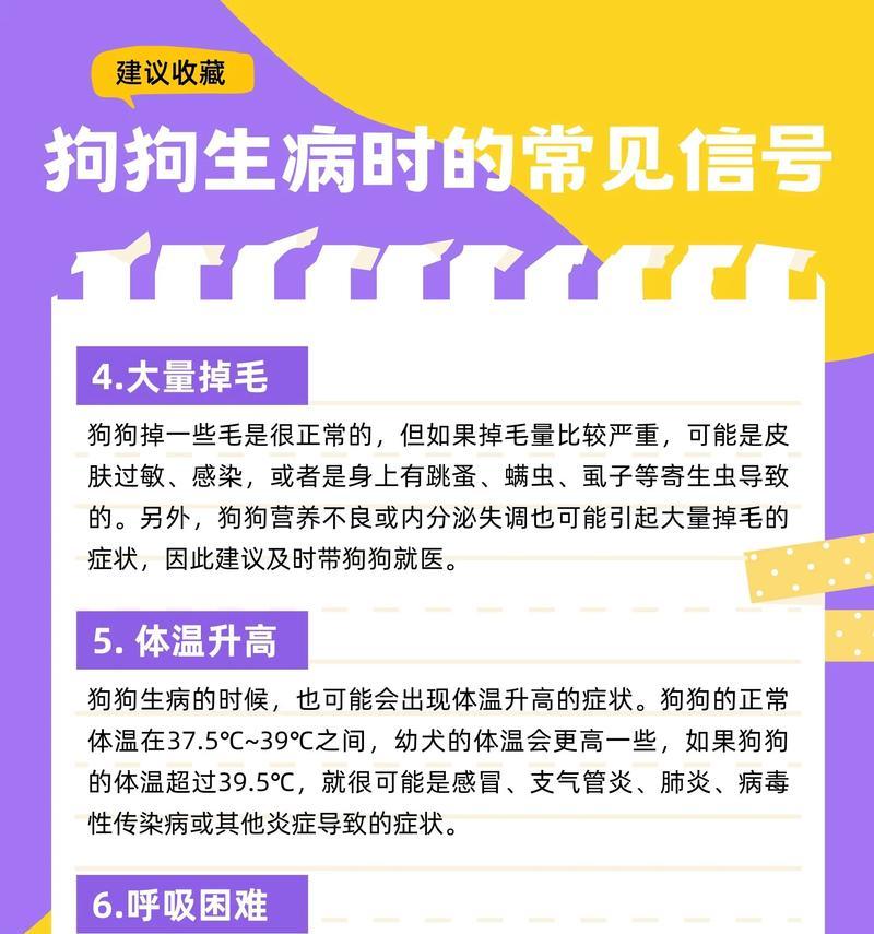 狗狗生病了怎么办？——照顾你的毛孩健康快乐（学会区分狗狗疾病，及时就医、合理照料）
