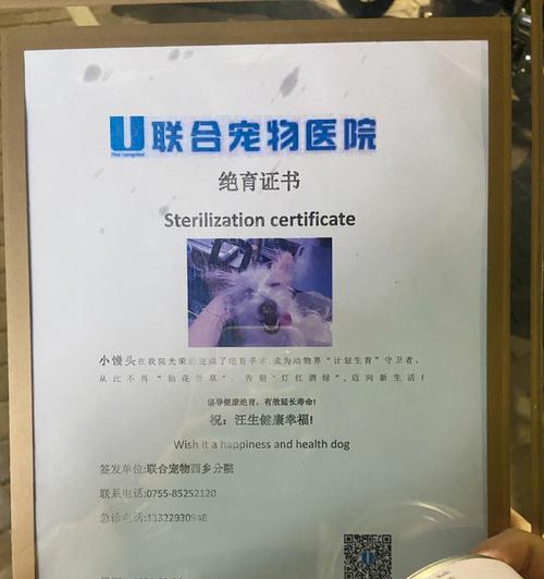 狗狗节育手术后的恢复时间及注意事项（狗狗节育手术的关键）