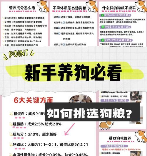 如何挑选一条健康的幼犬？（养好狗的六招教你如何选择一只健康的幼犬）