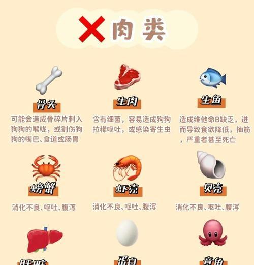 狗狗呕吐后应该禁食多久？（为你的宠物犬提供正确的呕吐后饮食指导）